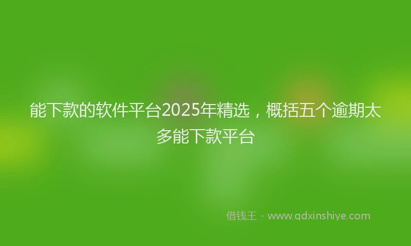能下款的软件平台2025年精选，概括五个逾期太多能下款平台