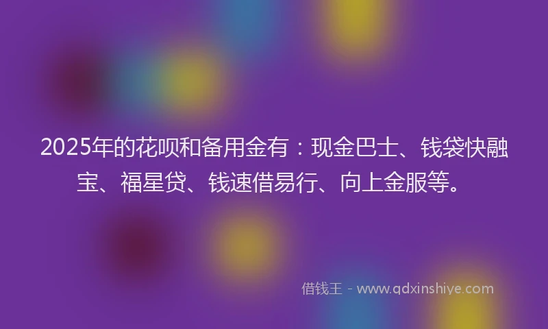 2025年的花呗和备用金有：现金巴士、钱袋快融宝、福星贷、钱速借易行、向上金服等。