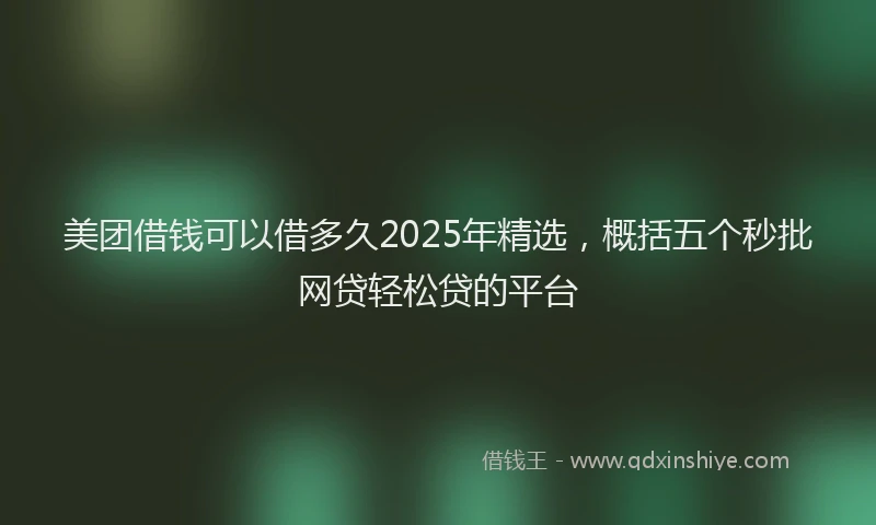 美团借钱可以借多久2025年精选，概括五个秒批网贷轻松贷的平台