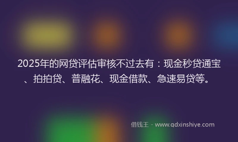 2025年的网贷评估审核不过去有：现金秒贷通宝、拍拍贷、普融花、现金借款、急速易贷等。