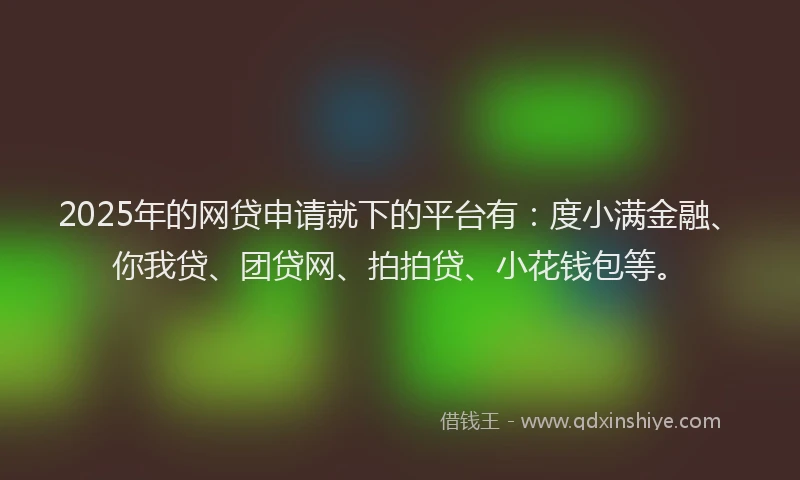 2025年的网贷申请就下的平台有：度小满金融、你我贷、团贷网、拍拍贷、小花钱包等。