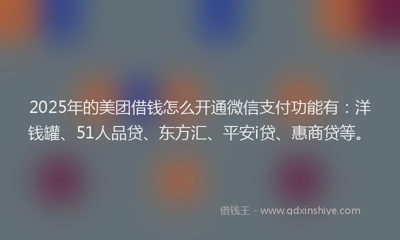 2025年的美团借钱怎么开通微信支付功能有：洋钱罐、51人品贷、东方汇、平安i贷、惠商贷等。