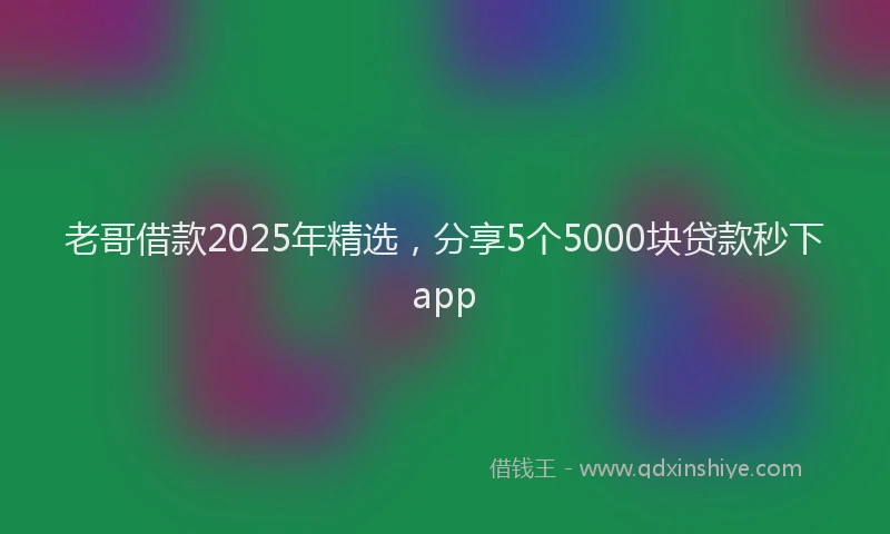 老哥借款2025年精选，分享5个5000块贷款秒下app