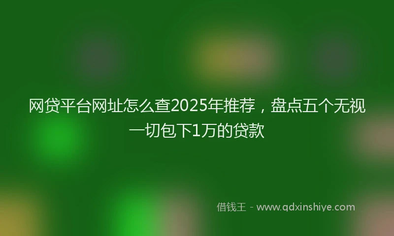 网贷平台网址怎么查2025年推荐，盘点五个无视一切包下1万的贷款