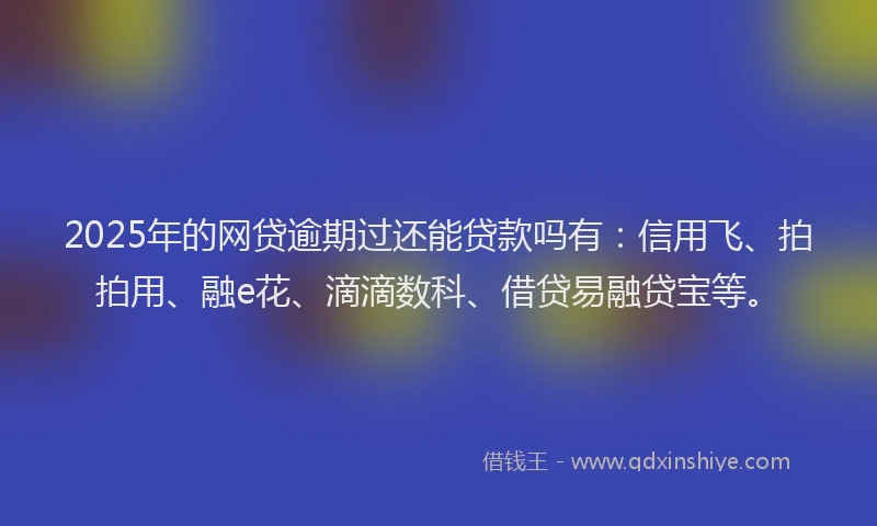 2025年的网贷逾期过还能贷款吗有：信用飞、拍拍用、融e花、滴滴数科、借贷易融贷宝等。