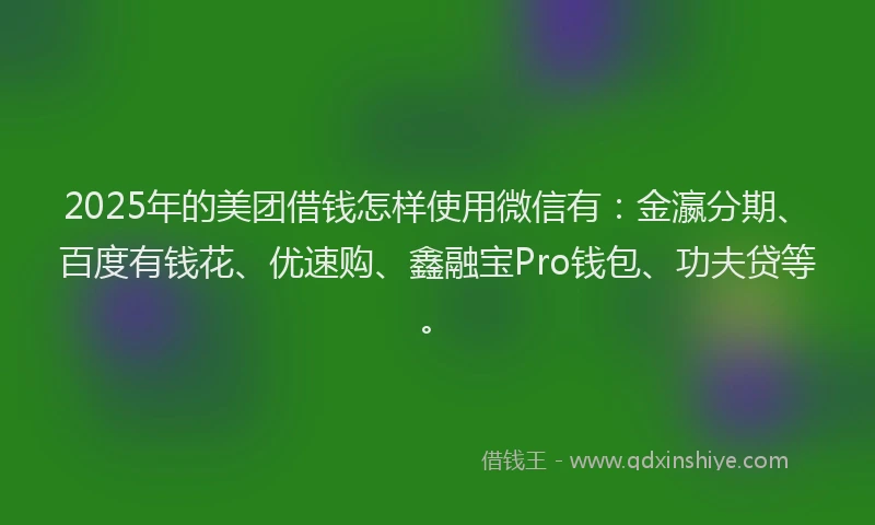 2025年的美团借钱怎样使用微信有：金瀛分期、百度有钱花、优速购、鑫融宝Pro钱包、功夫贷等。