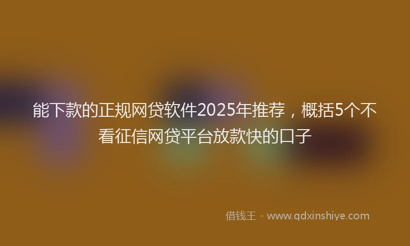 能下款的正规网贷软件2025年推荐，概括5个不看征信网贷平台放款快的口子