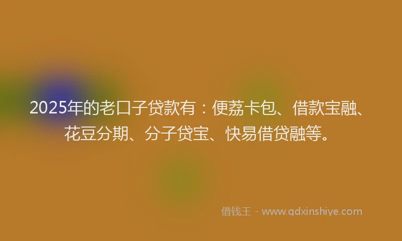 2025年的老口子贷款有：便荔卡包、借款宝融、花豆分期、分子贷宝、快易借贷融等。