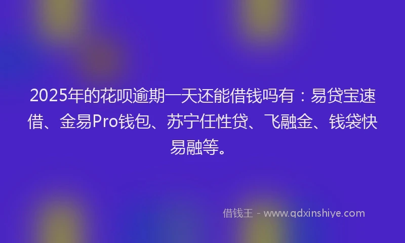 2025年的花呗逾期一天还能借钱吗有：易贷宝速借、金易Pro钱包、苏宁任性贷、飞融金、钱袋快易融等。