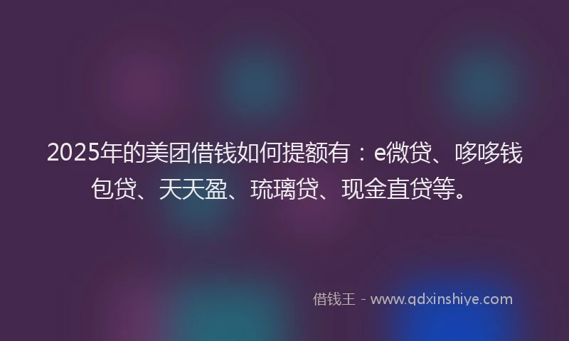 2025年的美团借钱如何提额有：e微贷、哆哆钱包贷、天天盈、琉璃贷、现金直贷等。