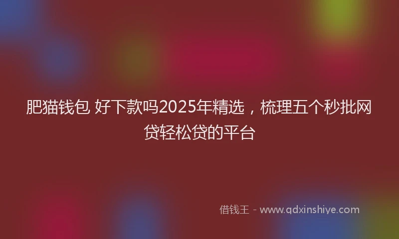 肥猫钱包 好下款吗2025年精选，梳理五个秒批网贷轻松贷的平台