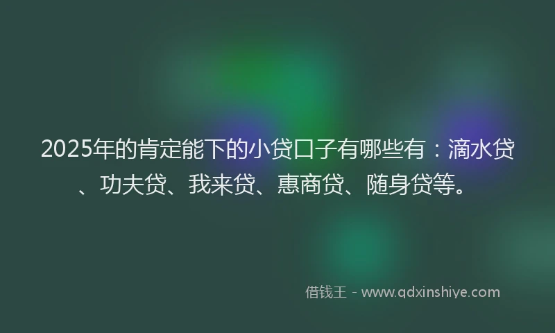 2025年的肯定能下的小贷口子有哪些有：滴水贷、功夫贷、我来贷、惠商贷、随身贷等。
