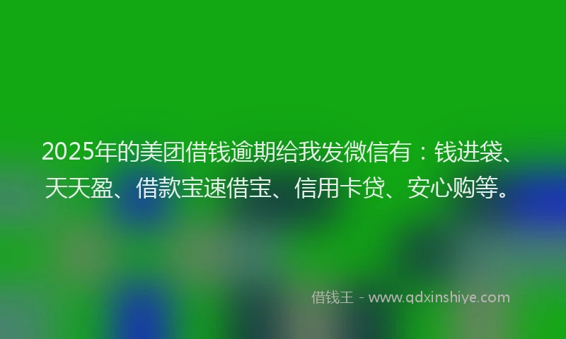 2025年的美团借钱逾期给我发微信有：钱进袋、天天盈、借款宝速借宝、信用卡贷、安心购等。