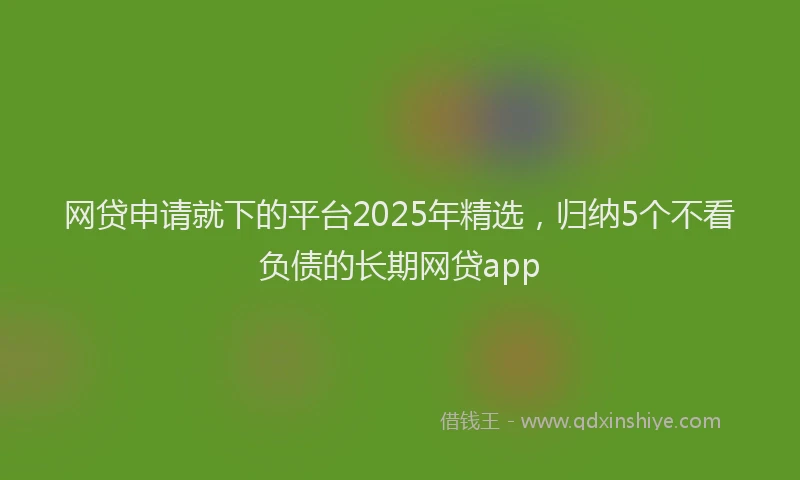 网贷申请就下的平台2025年精选，归纳5个不看负债的长期网贷app