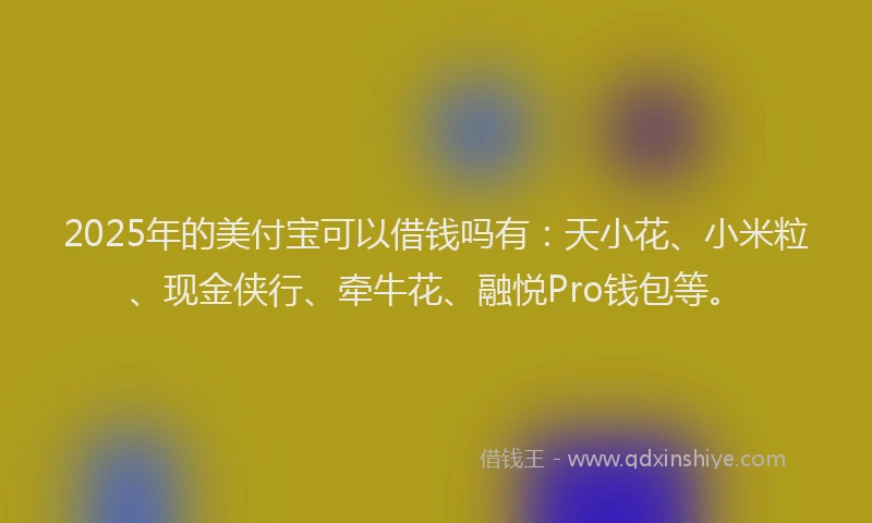 2025年的美付宝可以借钱吗有：天小花、小米粒、现金侠行、牵牛花、融悦Pro钱包等。