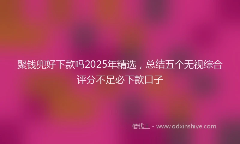 聚钱兜好下款吗2025年精选，总结五个无视综合评分不足必下款口子