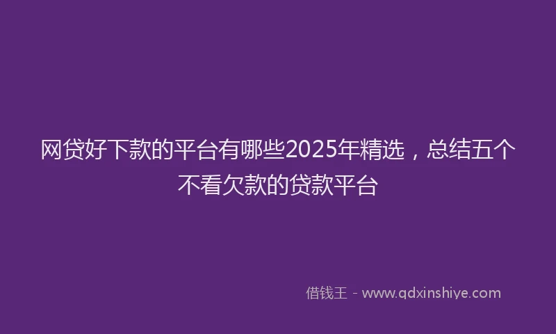网贷好下款的平台有哪些2025年精选，总结五个不看欠款的贷款平台