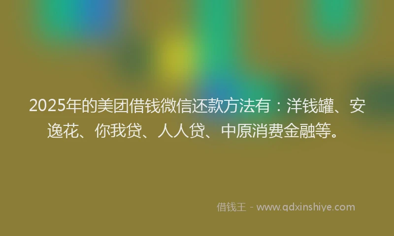 2025年的美团借钱微信还款方法有：洋钱罐、安逸花、你我贷、人人贷、中原消费金融等。