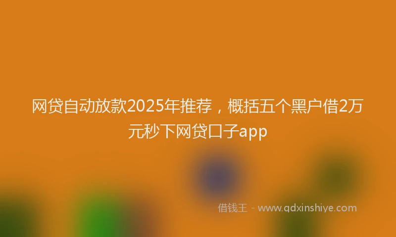 网贷自动放款2025年推荐，概括五个黑户借2万元秒下网贷口子app
