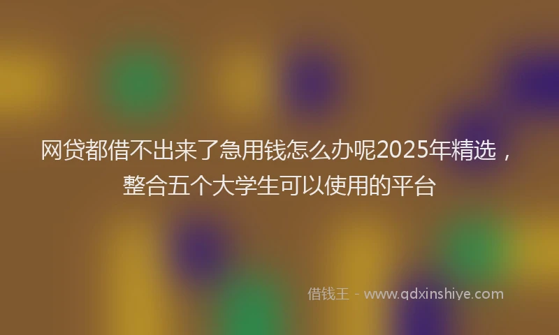 网贷都借不出来了急用钱怎么办呢2025年精选，整合五个大学生可以使用的平台