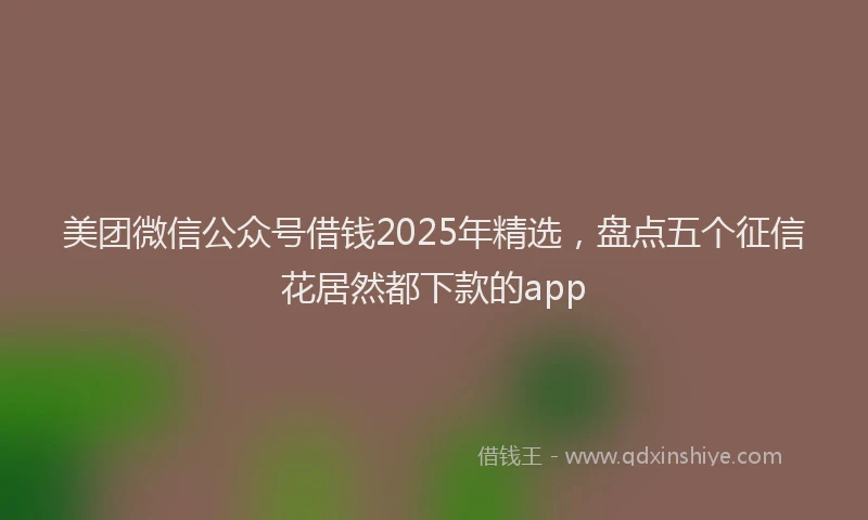 美团微信公众号借钱2025年精选，盘点五个征信花居然都下款的app