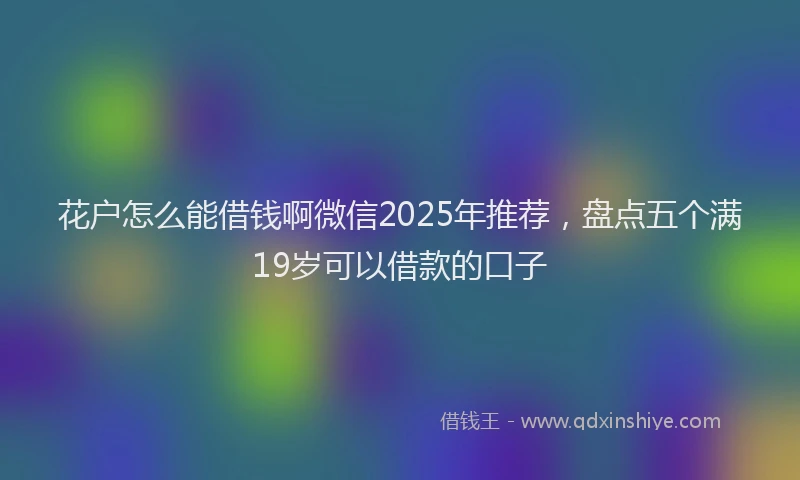 花户怎么能借钱啊微信2025年推荐，盘点五个满19岁可以借款的口子