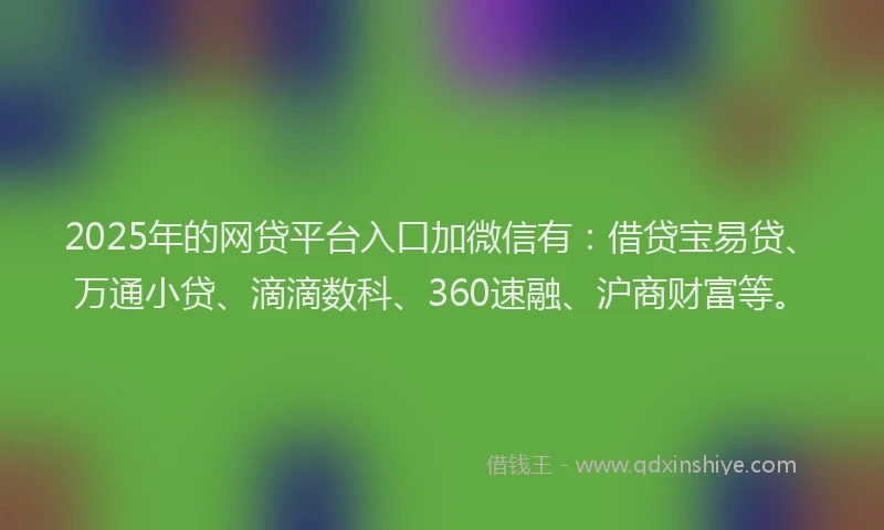 2025年的网贷平台入口加微信有：借贷宝易贷、万通小贷、滴滴数科、360速融、沪商财富等。