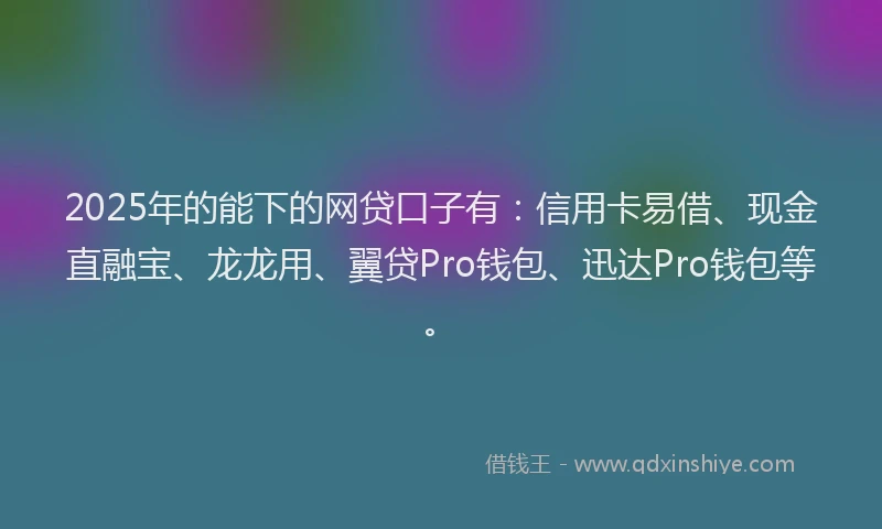 2025年的能下的网贷口子有：信用卡易借、现金直融宝、龙龙用、翼贷Pro钱包、迅达Pro钱包等。
