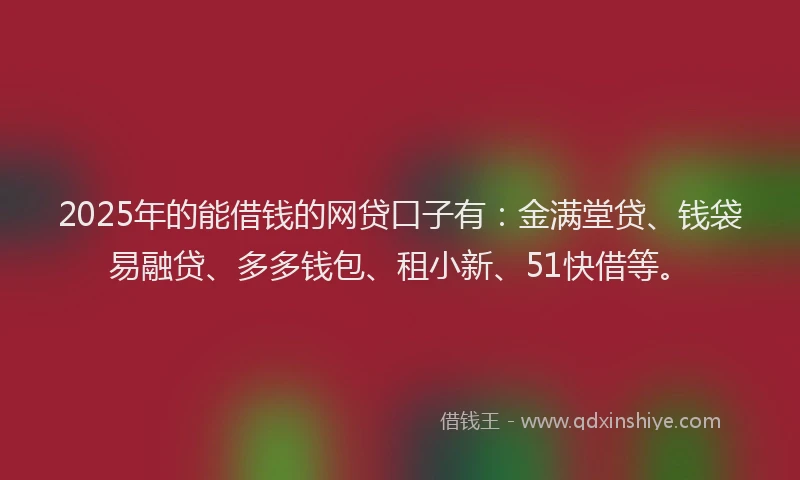 2025年的能借钱的网贷口子有：金满堂贷、钱袋易融贷、多多钱包、租小新、51快借等。