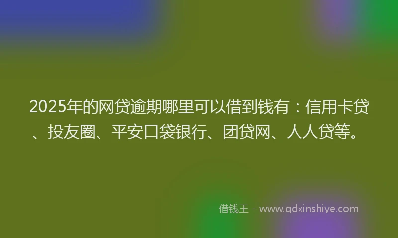 2025年的网贷逾期哪里可以借到钱有：信用卡贷、投友圈、平安口袋银行、团贷网、人人贷等。