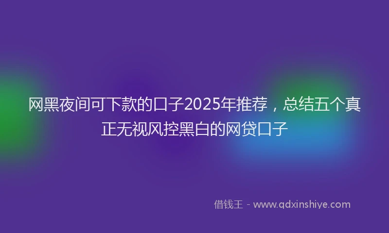 网黑夜间可下款的口子2025年推荐，总结五个真正无视风控黑白的网贷口子