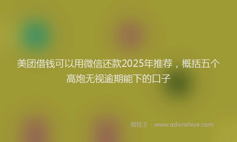 美团借钱可以用微信还款2025年推荐，概括五个高炮无视逾期能下的口子