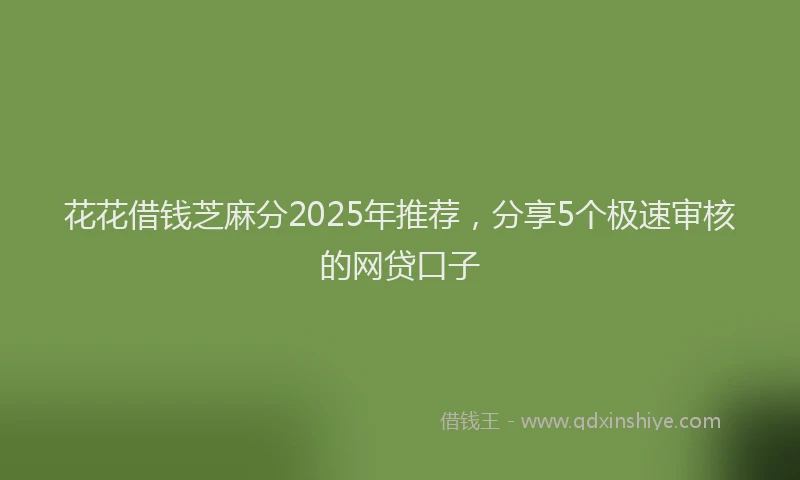 花花借钱芝麻分2025年推荐，分享5个极速审核的网贷口子