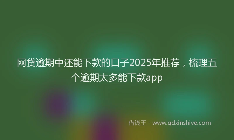 网贷逾期中还能下款的口子2025年推荐，梳理五个逾期太多能下款app
