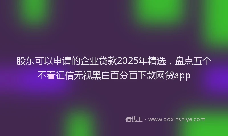 股东可以申请的企业贷款2025年精选，盘点五个不看征信无视黑白百分百下款网贷app