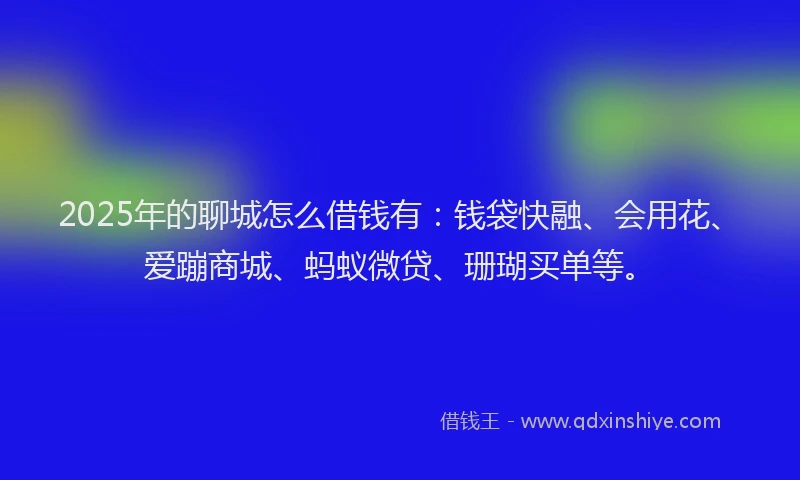 2025年的聊城怎么借钱有：钱袋快融、会用花、爱蹦商城、蚂蚁微贷、珊瑚买单等。