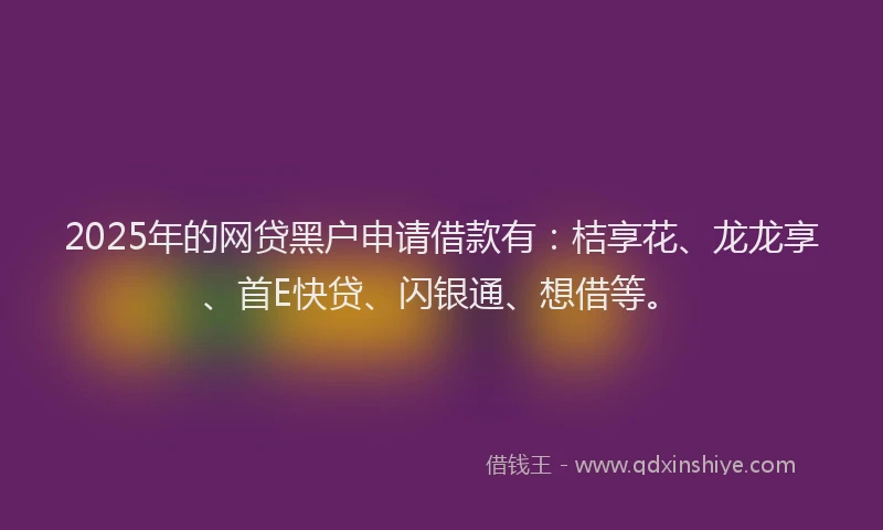 2025年的网贷黑户申请借款有：桔享花、龙龙享、首E快贷、闪银通、想借等。