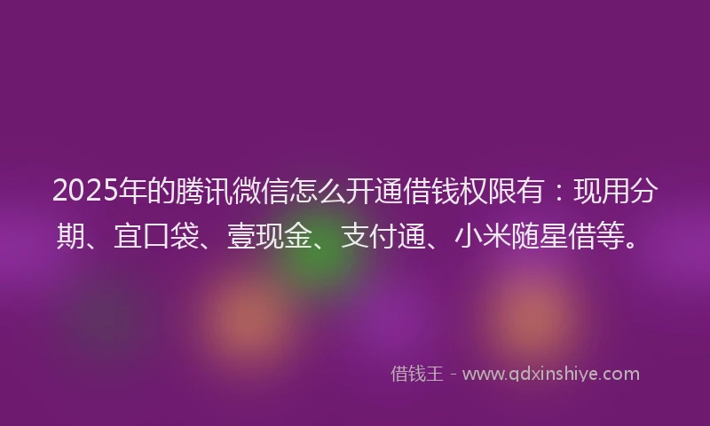 2025年的腾讯微信怎么开通借钱权限有：现用分期、宜口袋、壹现金、支付通、小米随星借等。