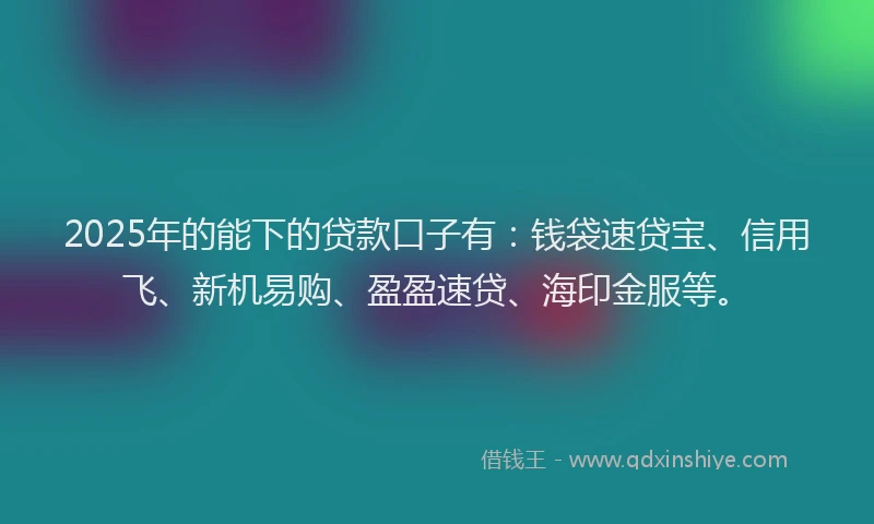 2025年的能下的贷款口子有：钱袋速贷宝、信用飞、新机易购、盈盈速贷、海印金服等。