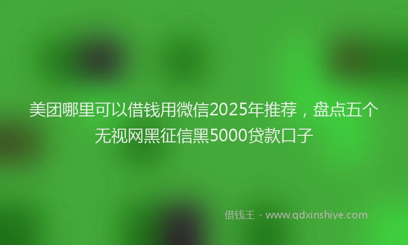 美团哪里可以借钱用微信2025年推荐，盘点五个无视网黑征信黑5000贷款口子