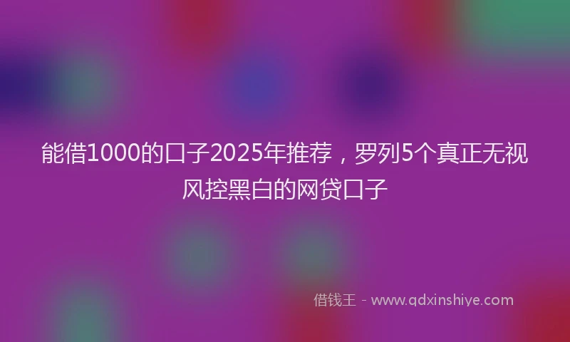 能借1000的口子2025年推荐，罗列5个真正无视风控黑白的网贷口子