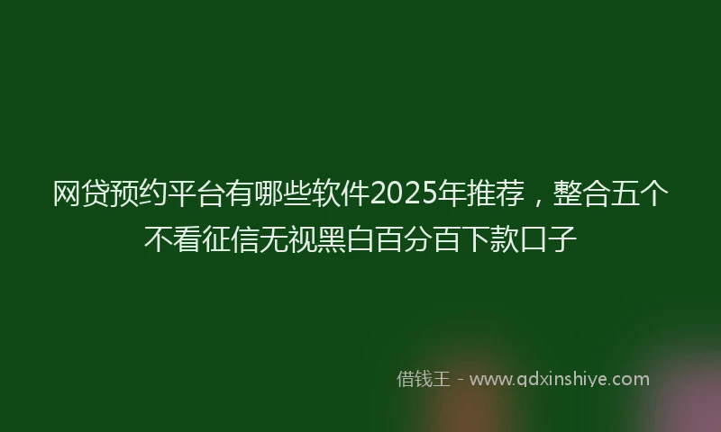 网贷预约平台有哪些软件2025年推荐，整合五个不看征信无视黑白百分百下款口子