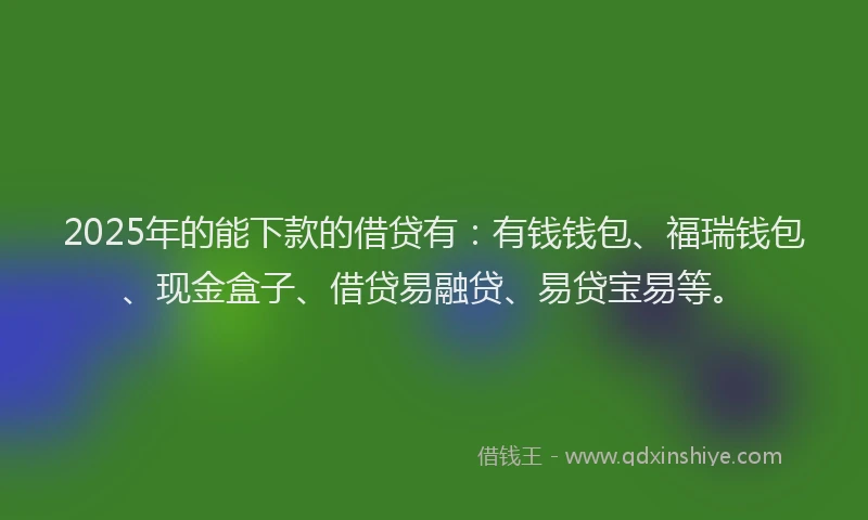 2025年的能下款的借贷有：有钱钱包、福瑞钱包、现金盒子、借贷易融贷、易贷宝易等。