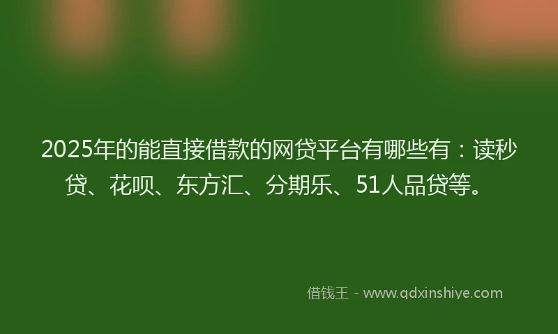 2025年的能直接借款的网贷平台有哪些有：读秒贷、花呗、东方汇、分期乐、51人品贷等。