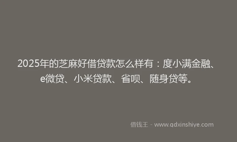 2025年的芝麻好借贷款怎么样有：度小满金融、e微贷、小米贷款、省呗、随身贷等。