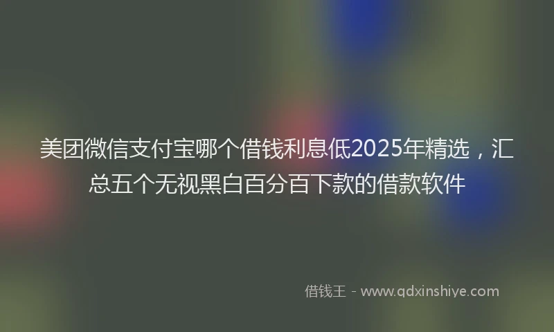 美团微信支付宝哪个借钱利息低2025年精选，汇总五个无视黑白百分百下款的借款软件