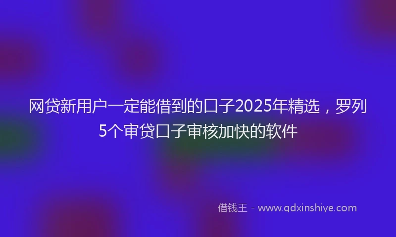 网贷新用户一定能借到的口子2025年精选，罗列5个审贷口子审核加快的软件
