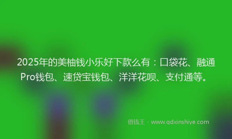 2025年的美柚钱小乐好下款么有：口袋花、融通Pro钱包、速贷宝钱包、洋洋花呗、支付通等。