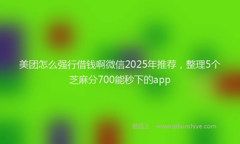 美团怎么强行借钱啊微信2025年推荐，整理5个芝麻分700能秒下的app