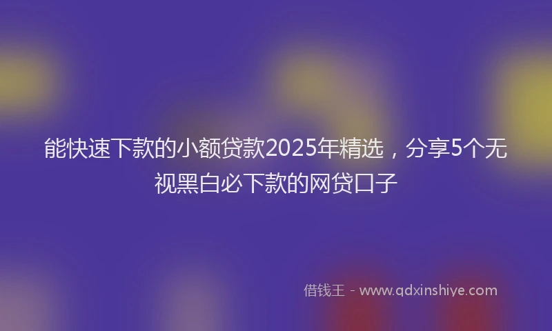 能快速下款的小额贷款2025年精选，分享5个无视黑白必下款的网贷口子